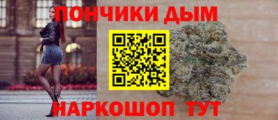 Альфа ПВП Малгобек
