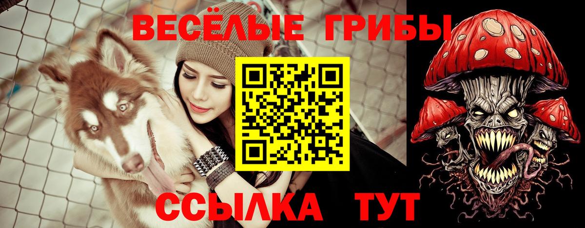 закладки  Вход с VPN  Унеча  Псилоцибиновые грибы мицелий 